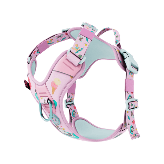 Anti Pull Hurricane Harness Lighter | With Handle - Prismra Pink