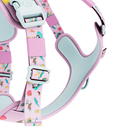 Anti Pull Hurricane Harness Lighter | With Handle - Prismra Pink