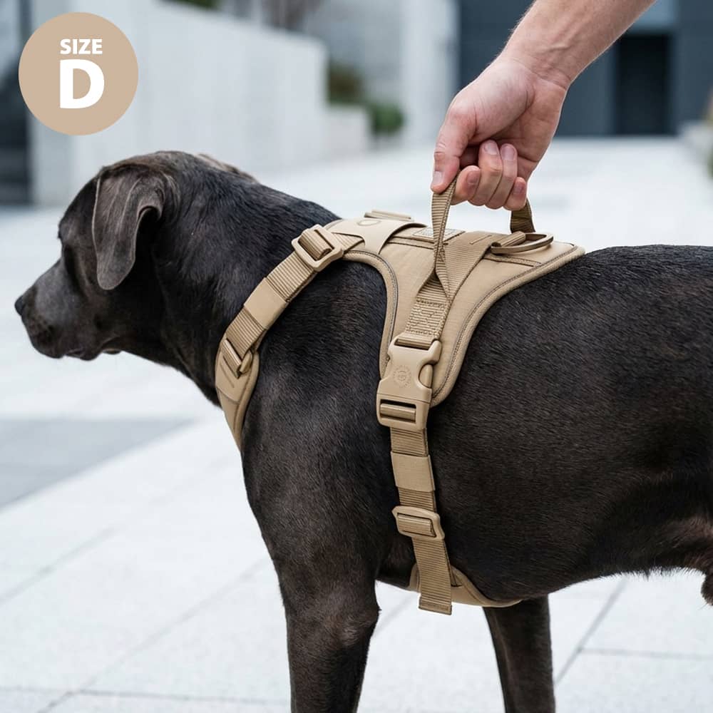 Anti Pull Hurricane Harness Lighter | With Handle - Olive Green