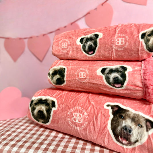 MYLA Pink Edition| Luxury Human & Dog Blanket