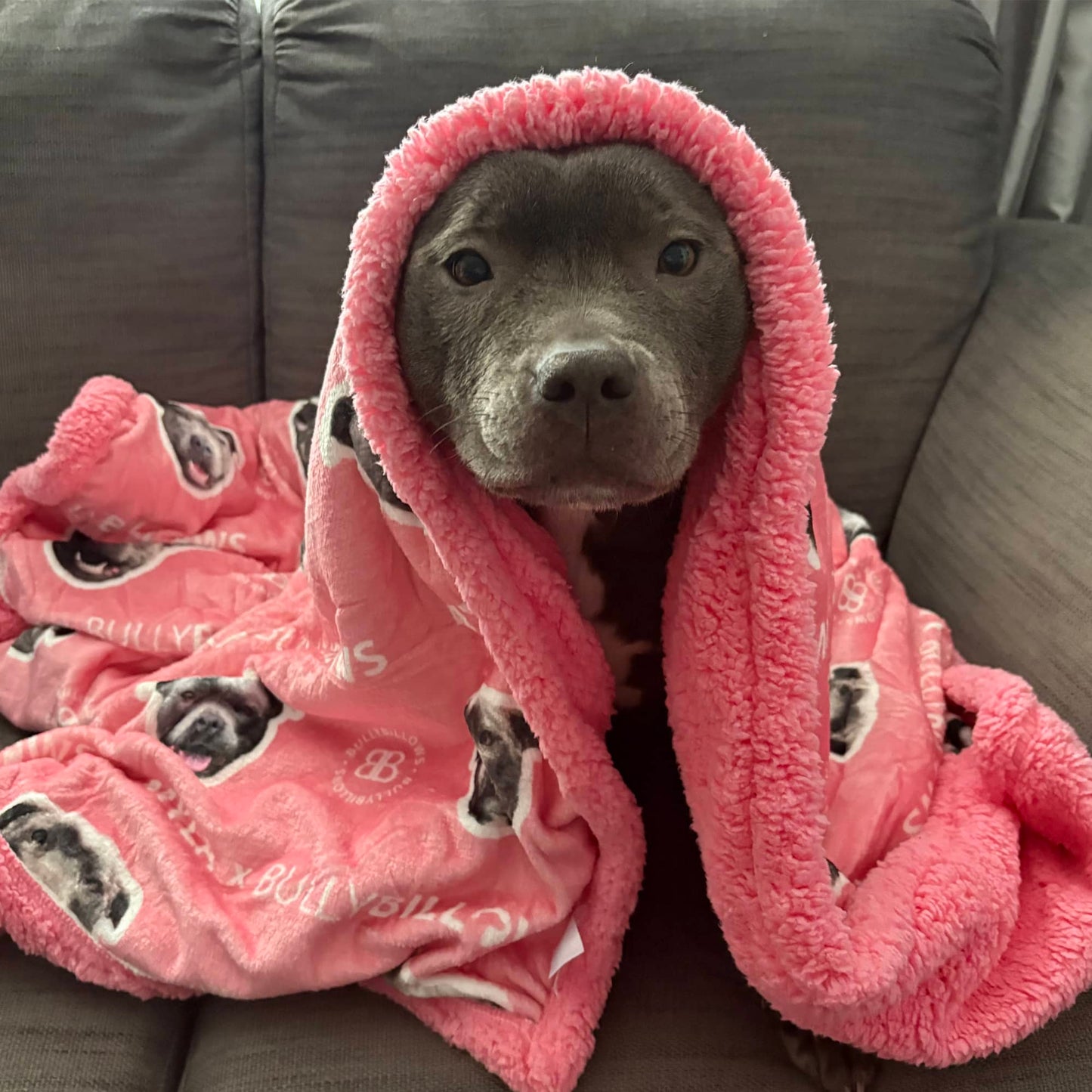 MYLA Pink Edition| Luxury Human & Dog Blanket