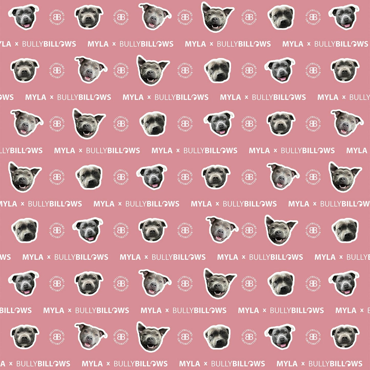 MYLA Pink Edition| Luxury Human & Dog Blanket