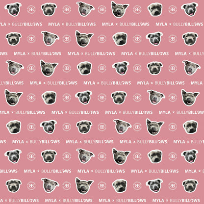 MYLA Pink Edition| Luxury Human & Dog Blanket