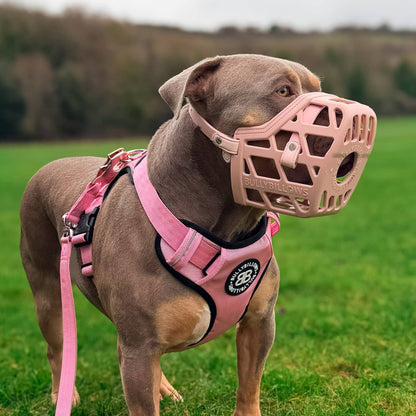 Premium Comfort Muzzle | x2 Additional Head Straps - Pink