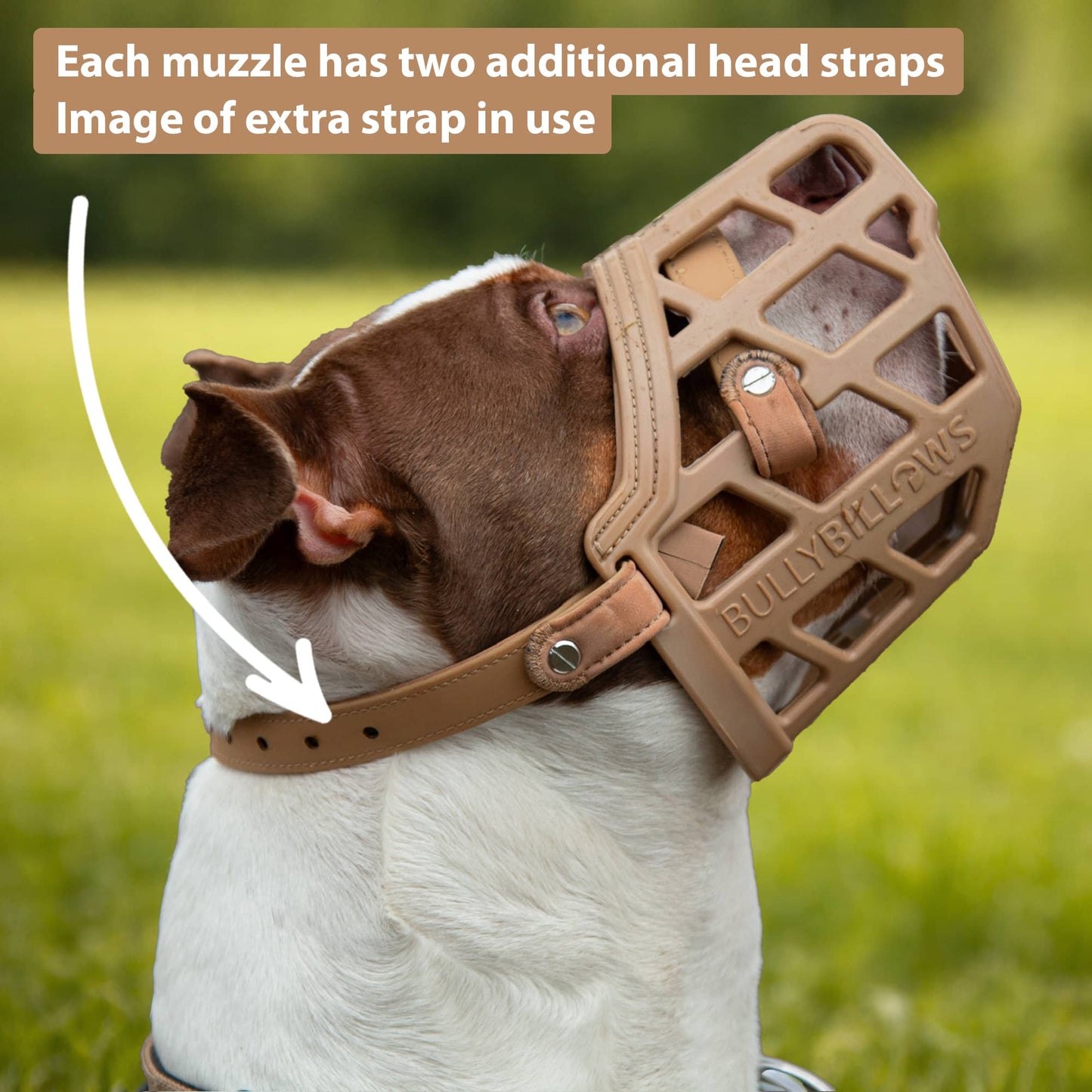 Premium Comfort Muzzle with 2 Straps - Doug Special Edition