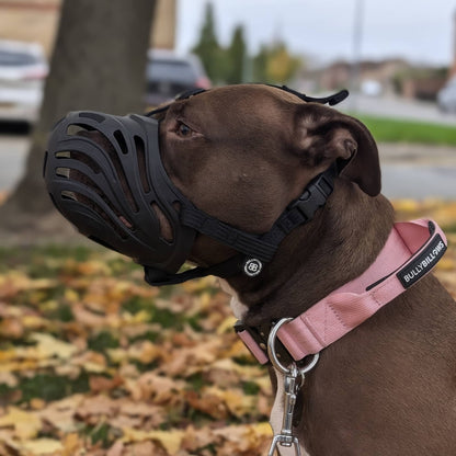 Muzzle | Flexi & Legal Requirement - S-XL Breeds - Black