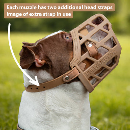 Premium Comfort Muzzle | x2 Additional Head Straps - Tan