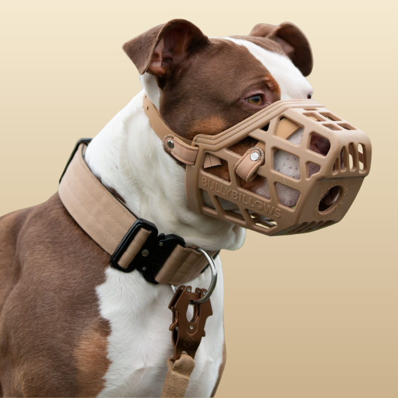 Premium Comfort Muzzle with 2 Straps - Doug Special Edition