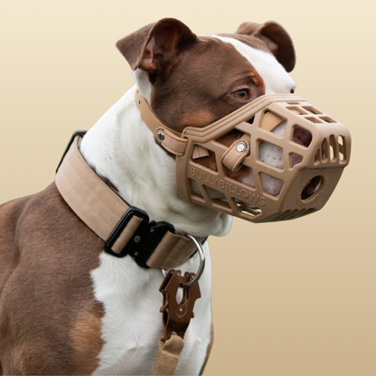 Premium Comfort Muzzle with 2 Straps - Doug Special Edition