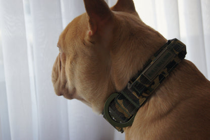5cm Lighter Combat® Collar | With Handle & Secure Clip - Pink Camouflage