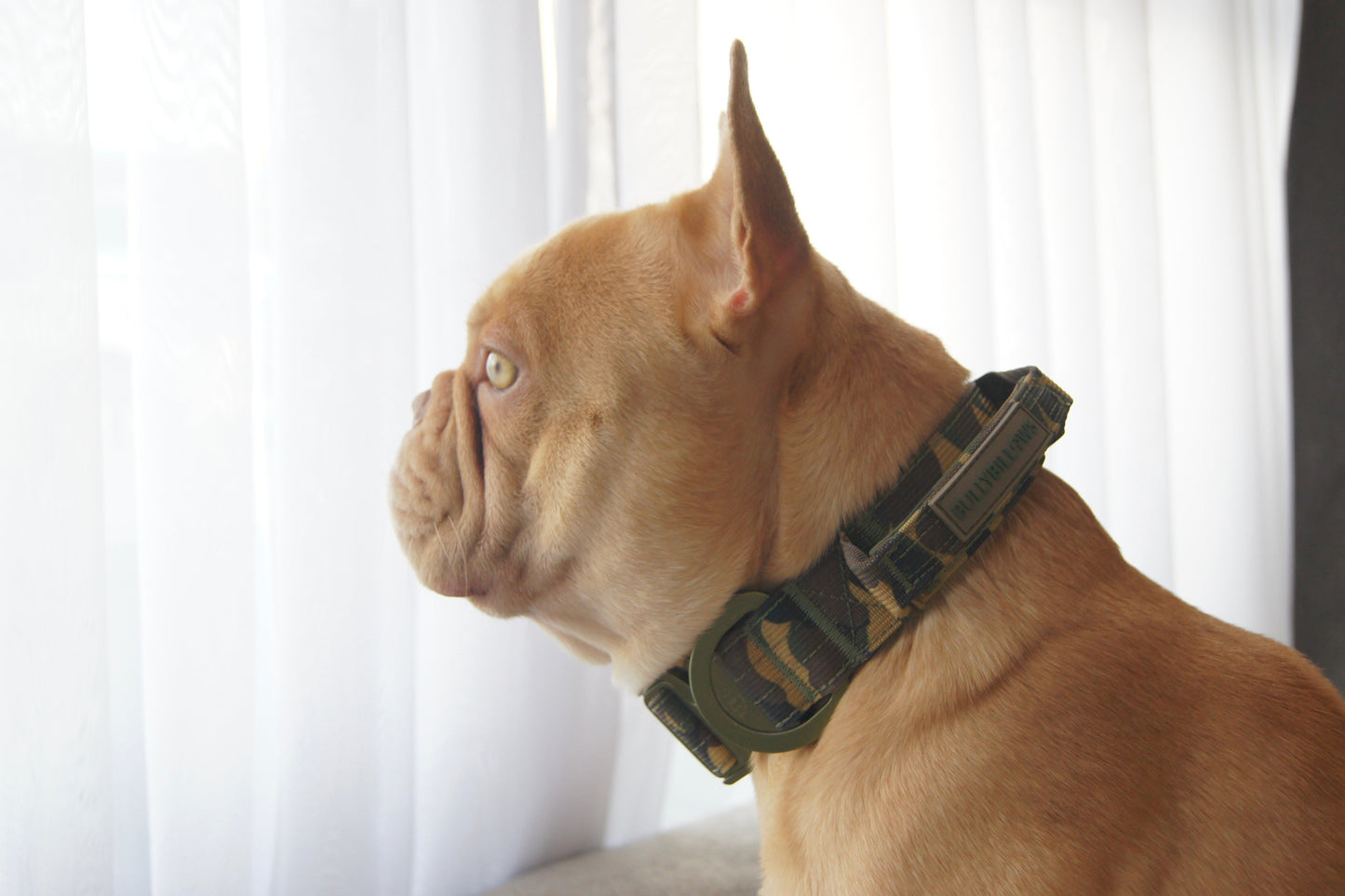 5cm Lighter Combat® Collar | With Handle & Secure Clip - Pink Camouflage
