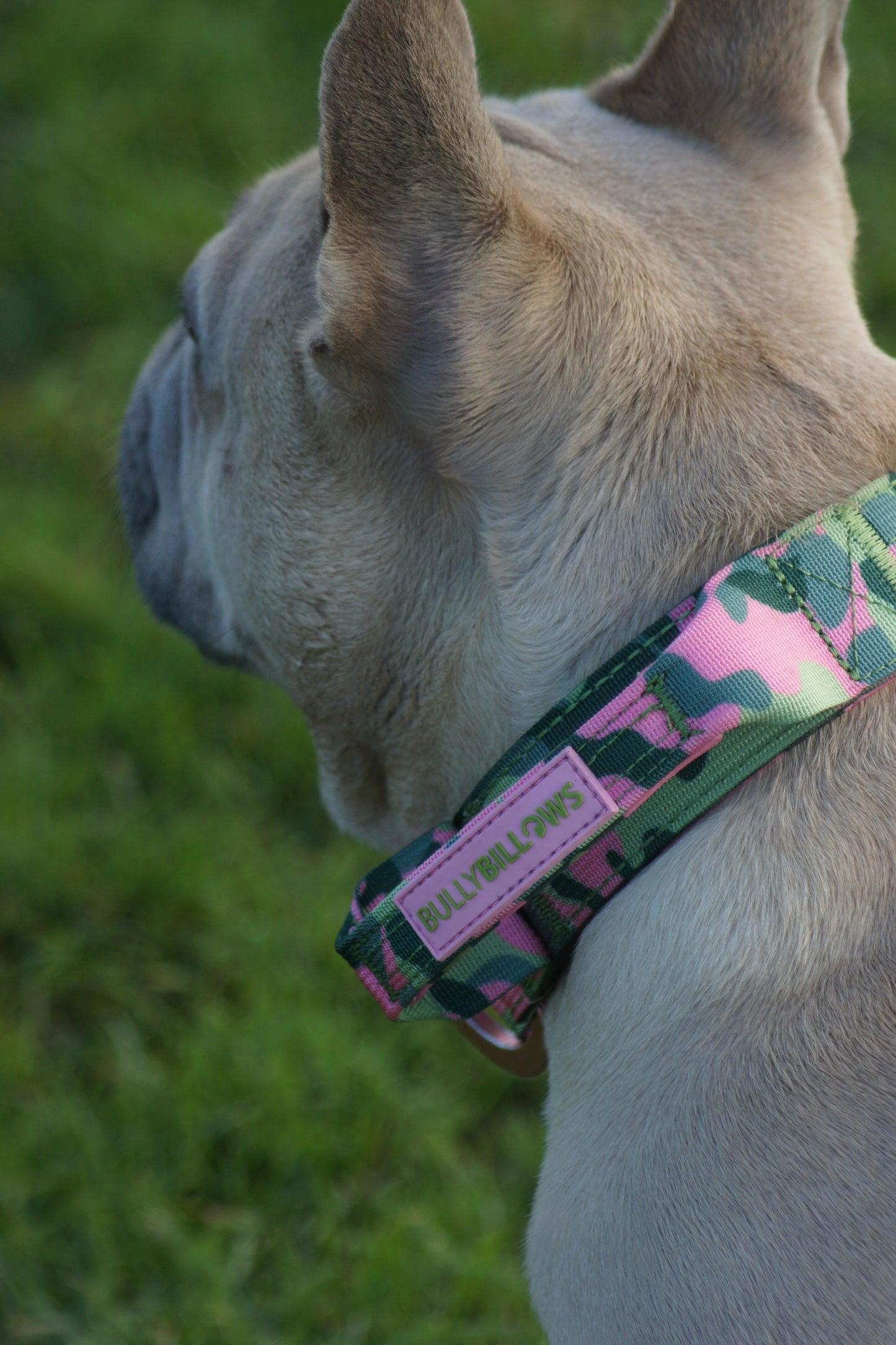 5cm Lighter Combat® Collar | With Handle & Secure Clip - Pink Camouflage