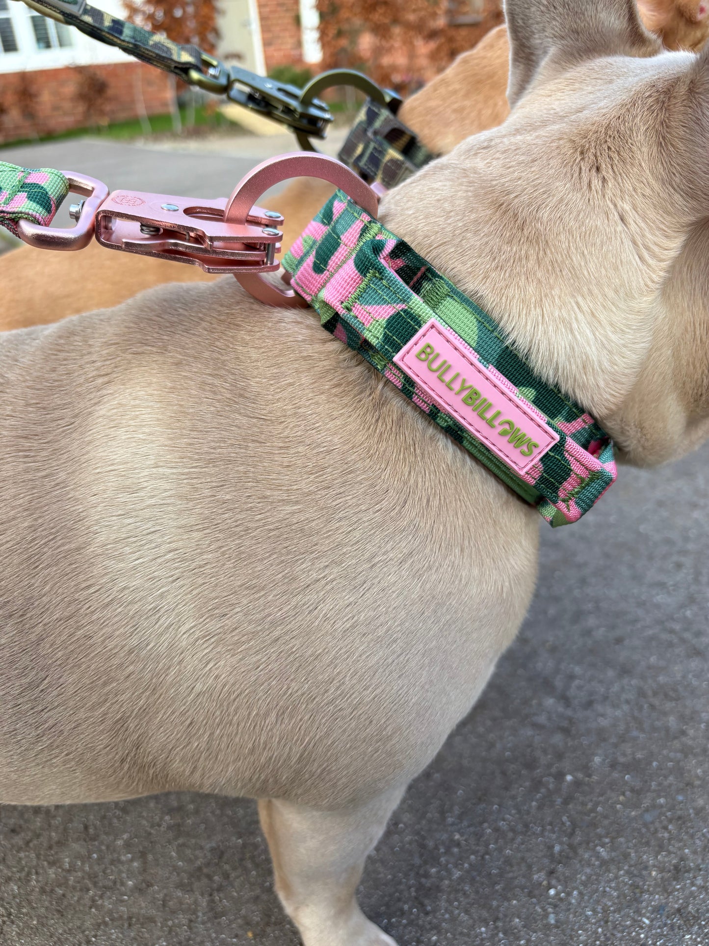 5cm Lighter Combat® Collar | With Handle & Secure Clip - Pink Camouflage
