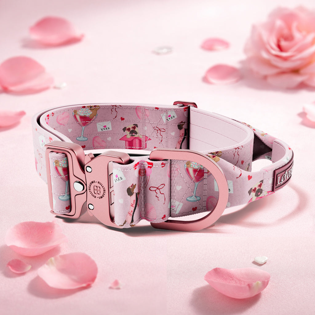 5cm Lighter Combat® Collar | With Handle & Secure Clip