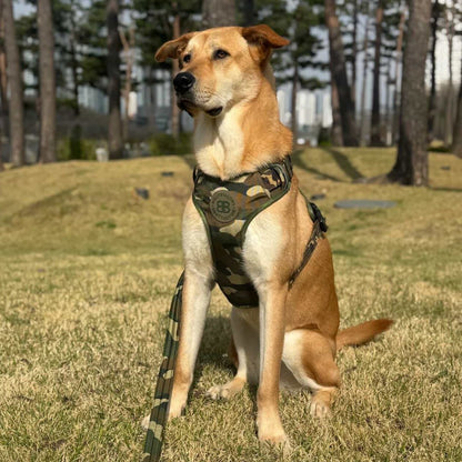 Comfort Premium Harness | Non Restrictive