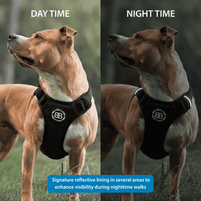 Comfort Premium Harness | Non Restrictive - Pink Camouflage