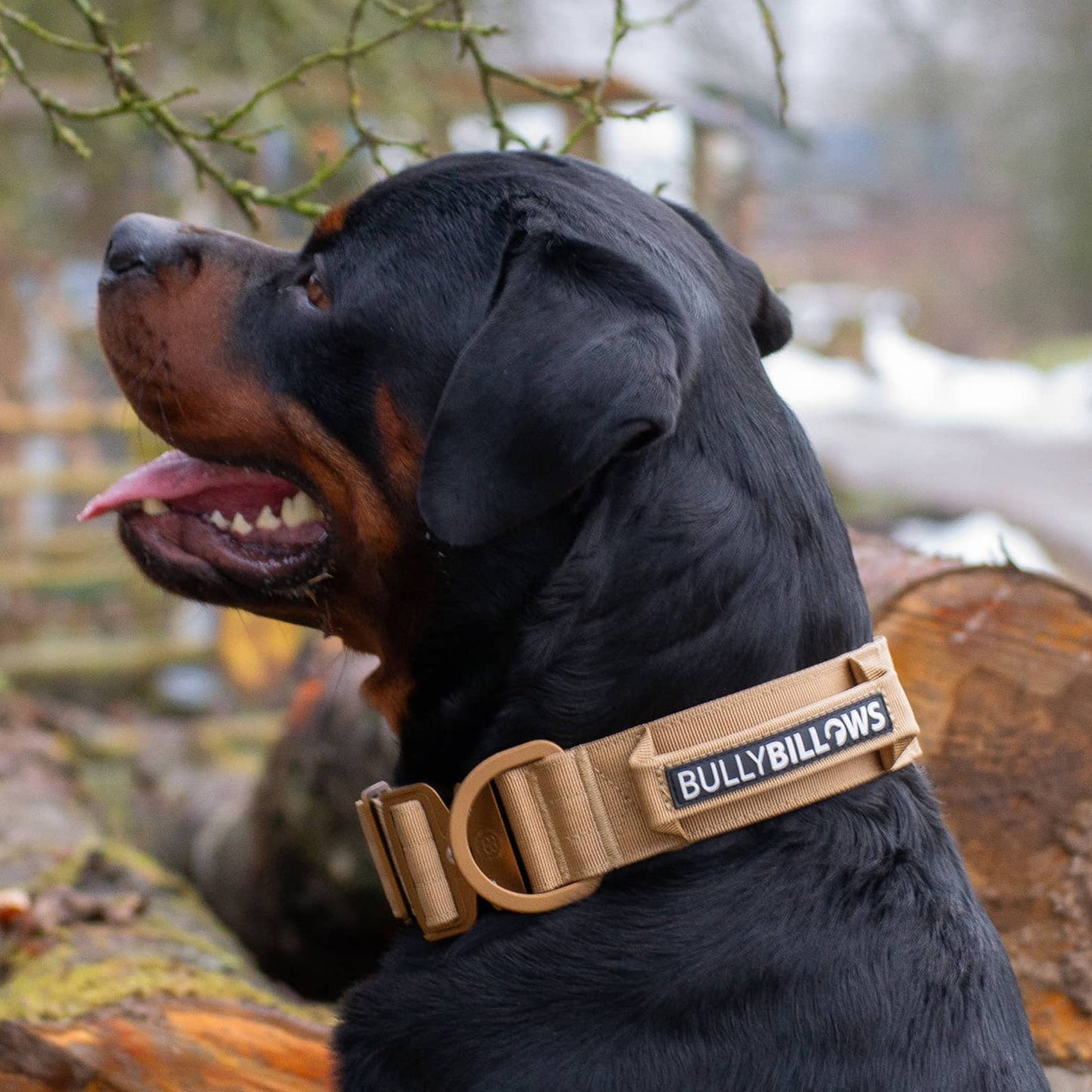 5cm Lighter Combat® Collar | With Handle Secure Clip - Purple x Metal Grey