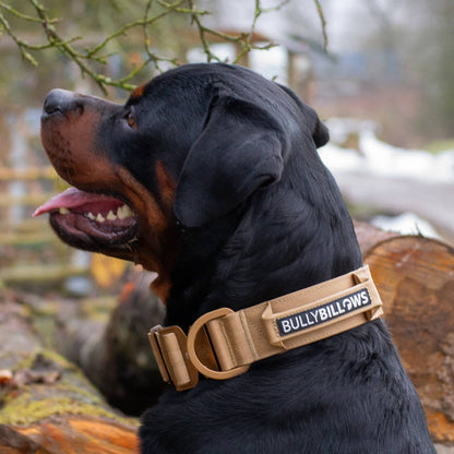 5cm Lighter Combat® Collar | With Handle Secure Clip - Purple x Metal Grey