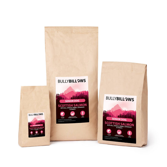 Scottish Salmon Dry Super Food - Senior