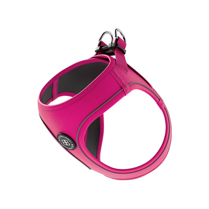 Step in Harness | XS-M Breeds