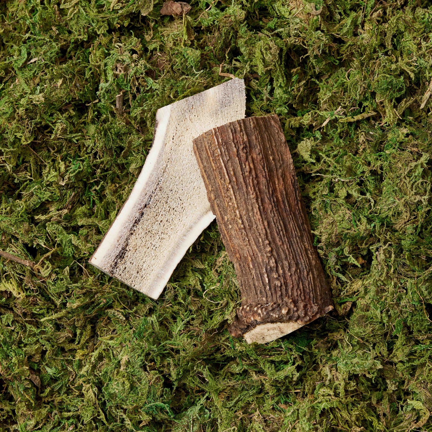 Split Antlers