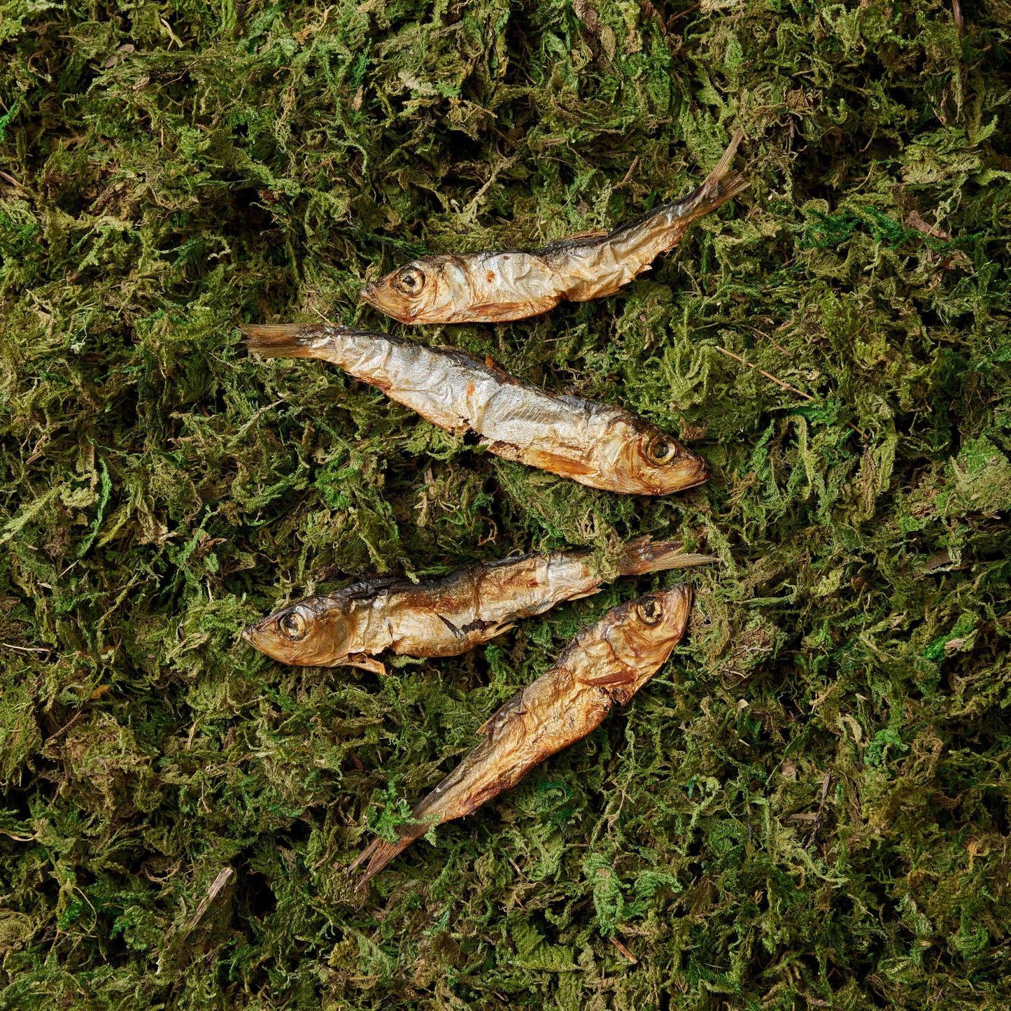 Sprats - 100g