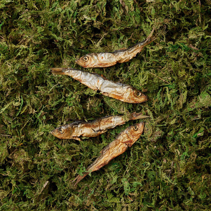 Sprats - 100g