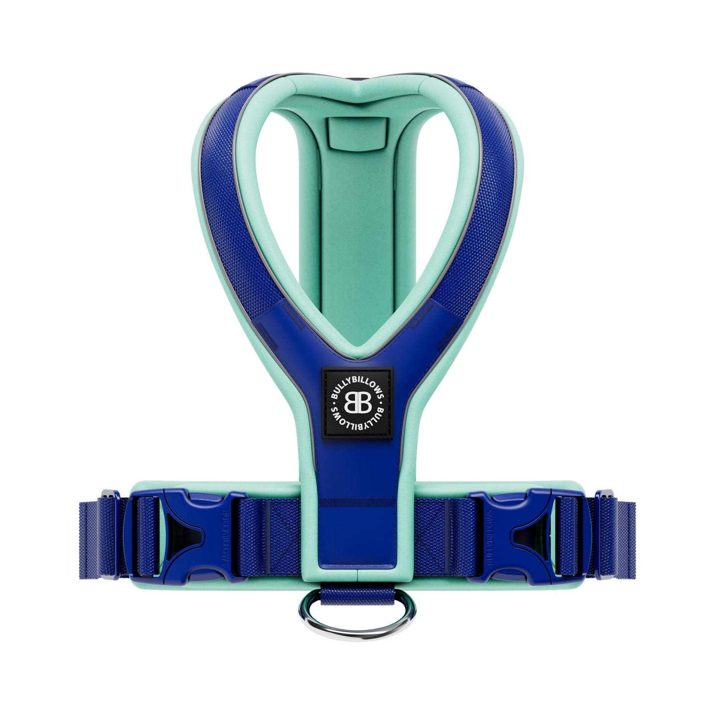 Slip on Harness | Foam Padded - Blue & Turquoise