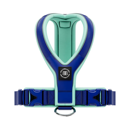 Slip on Harness | Foam Padded - Blue & Turquoise