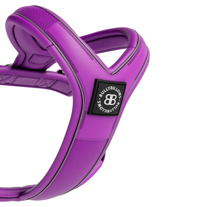 Slip on Harness | Foam Padded - Purple