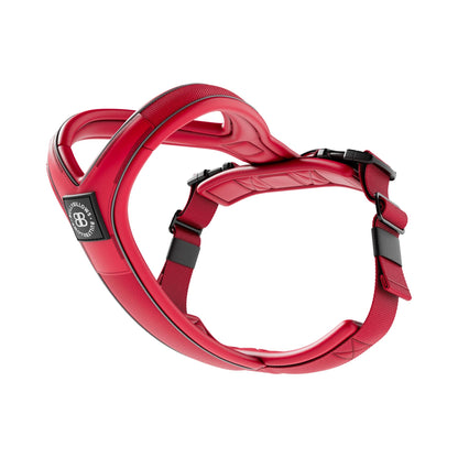 Slip on Harness | Foam Padded