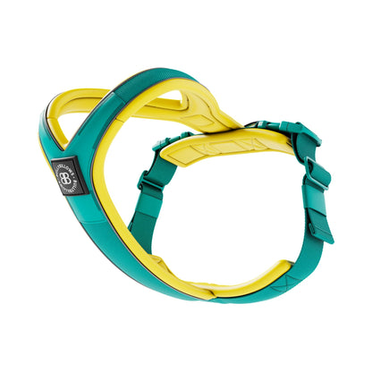 Slip on Harness | Foam Padded