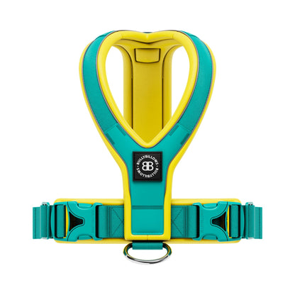 Slip on Harness | Foam Padded - Turquoise x Yellow