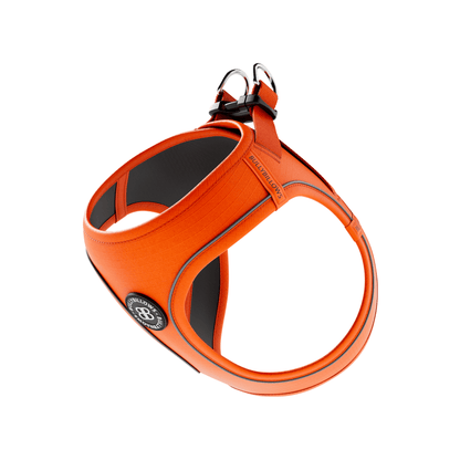 Step in Harness | XS-M Breeds