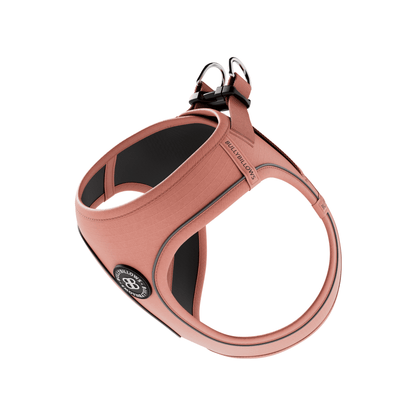 Step in Harness | XS-M Breeds