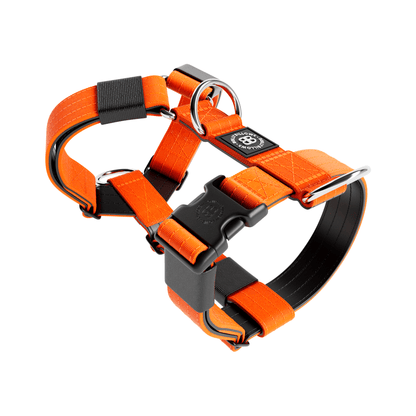 Anti-Pull TRI-Harness® | Training Harness
