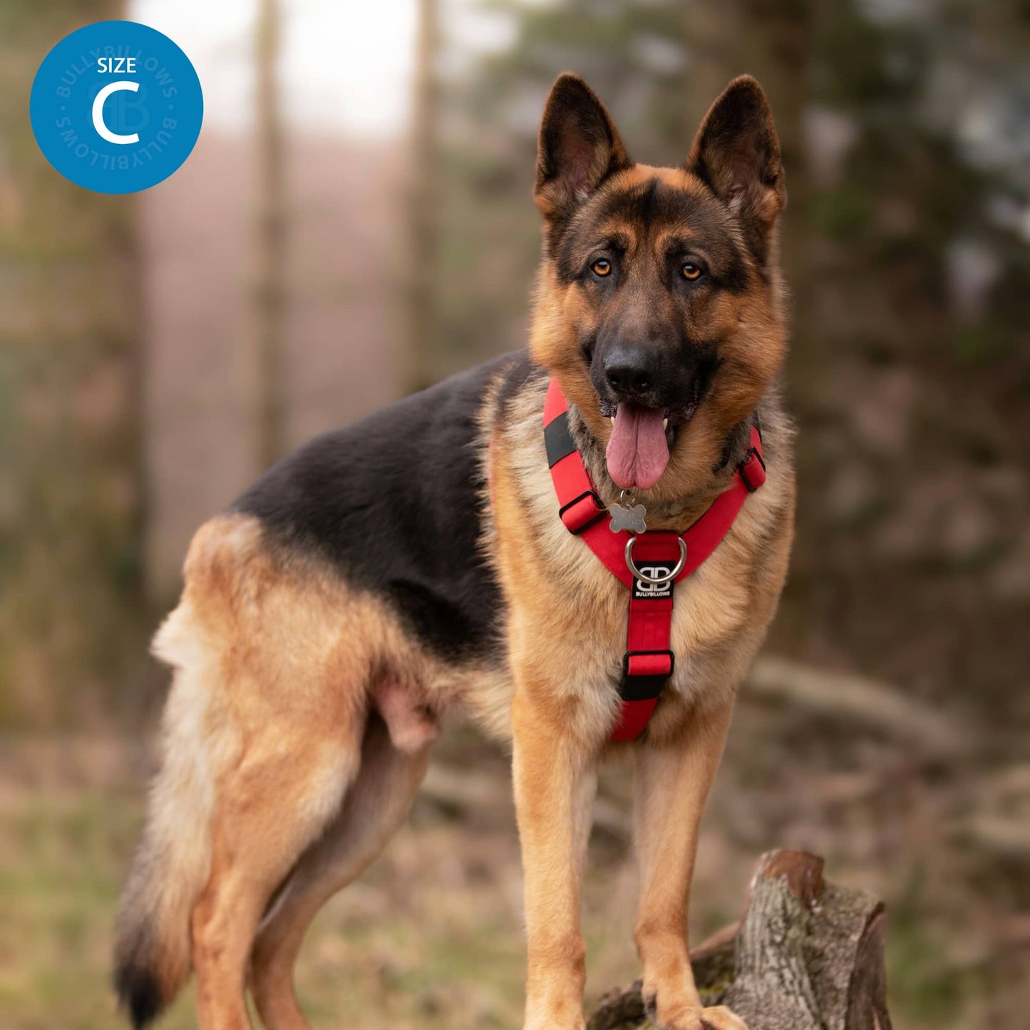 Anti-Pull TRI-Harness® | Training Dog Harness for All Breeds - Turquoise