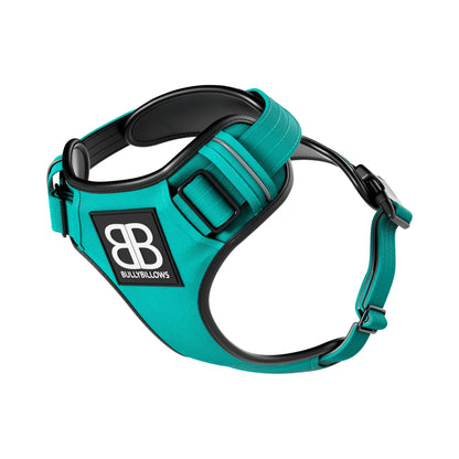 Comfort Premium Harness | Non Restrictive