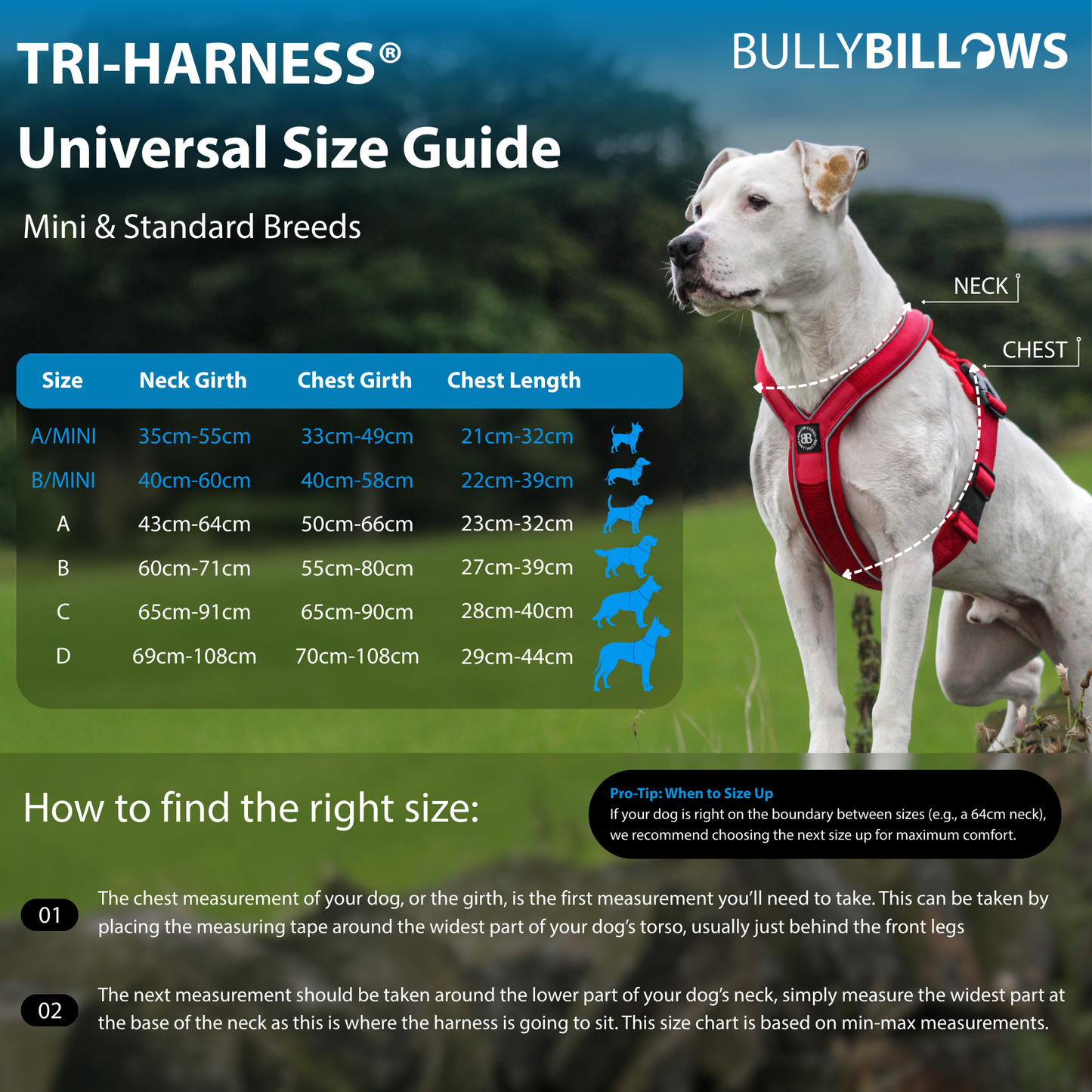 Anti-Pull TRI-Harness® | Training Dog Harness for All Breeds - Metal Grey