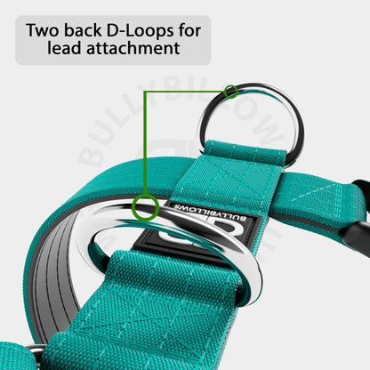 Anti-Pull TRI-Harness® | Training Dog Harness for All Breeds - Turquoise