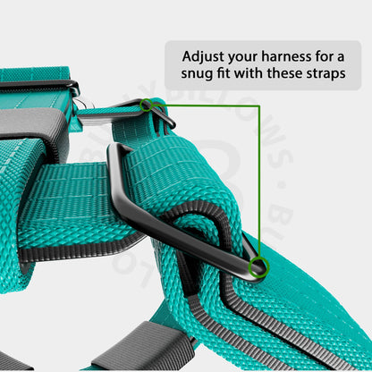 Anti-Pull TRI-Harness® | Training Dog Harness for All Breeds - Turquoise