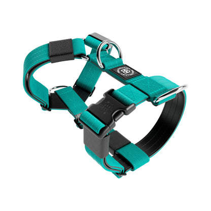 Anti-Pull TRI-Harness® | Training Dog Harness for All Breeds - Turquoise