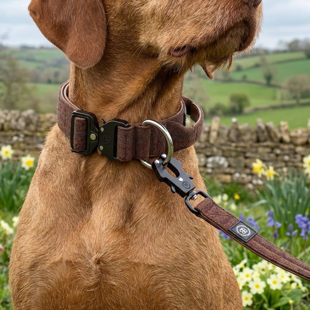 4cm Tweed & Herringbone Combat® Collar | With Handle & Secure Clip