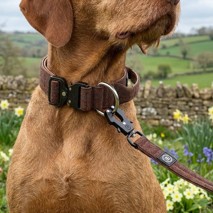4cm Tweed & Herringbone Combat® Collar | With Handle & Secure Clip