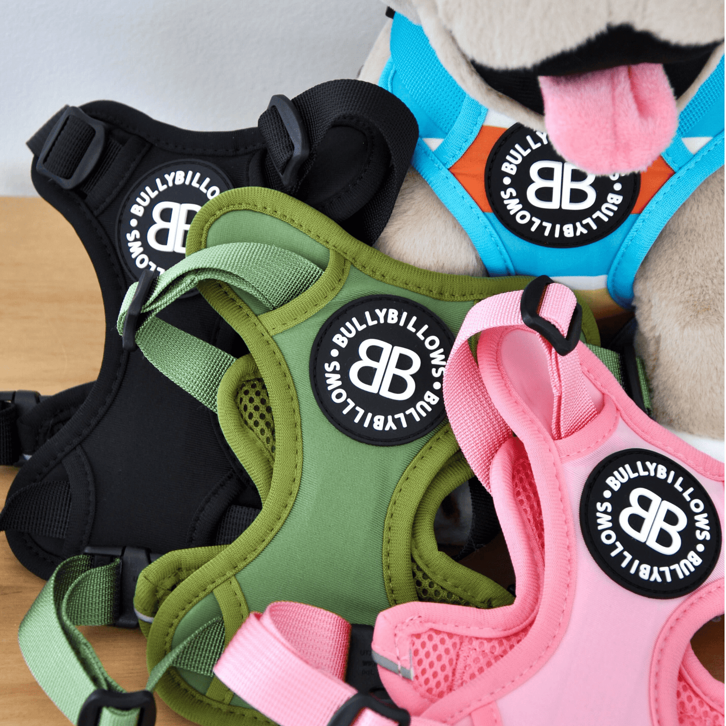 XL Bully Teddy Bear Harness | Pink