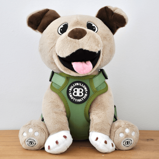 XL Bully Teddy Bear Harness | Khaki