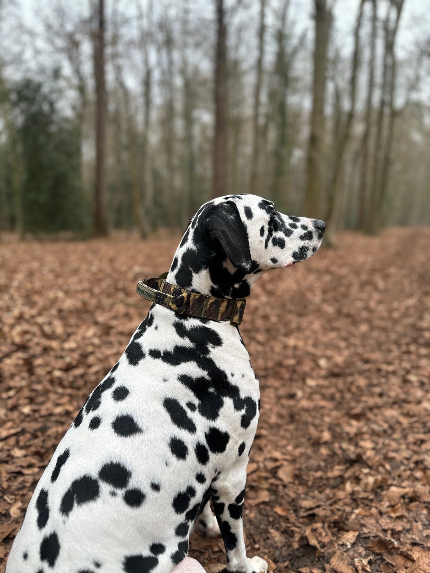 4cm Lighter Combat® Collar | With Handle & Secure Clip - Green Camouflage