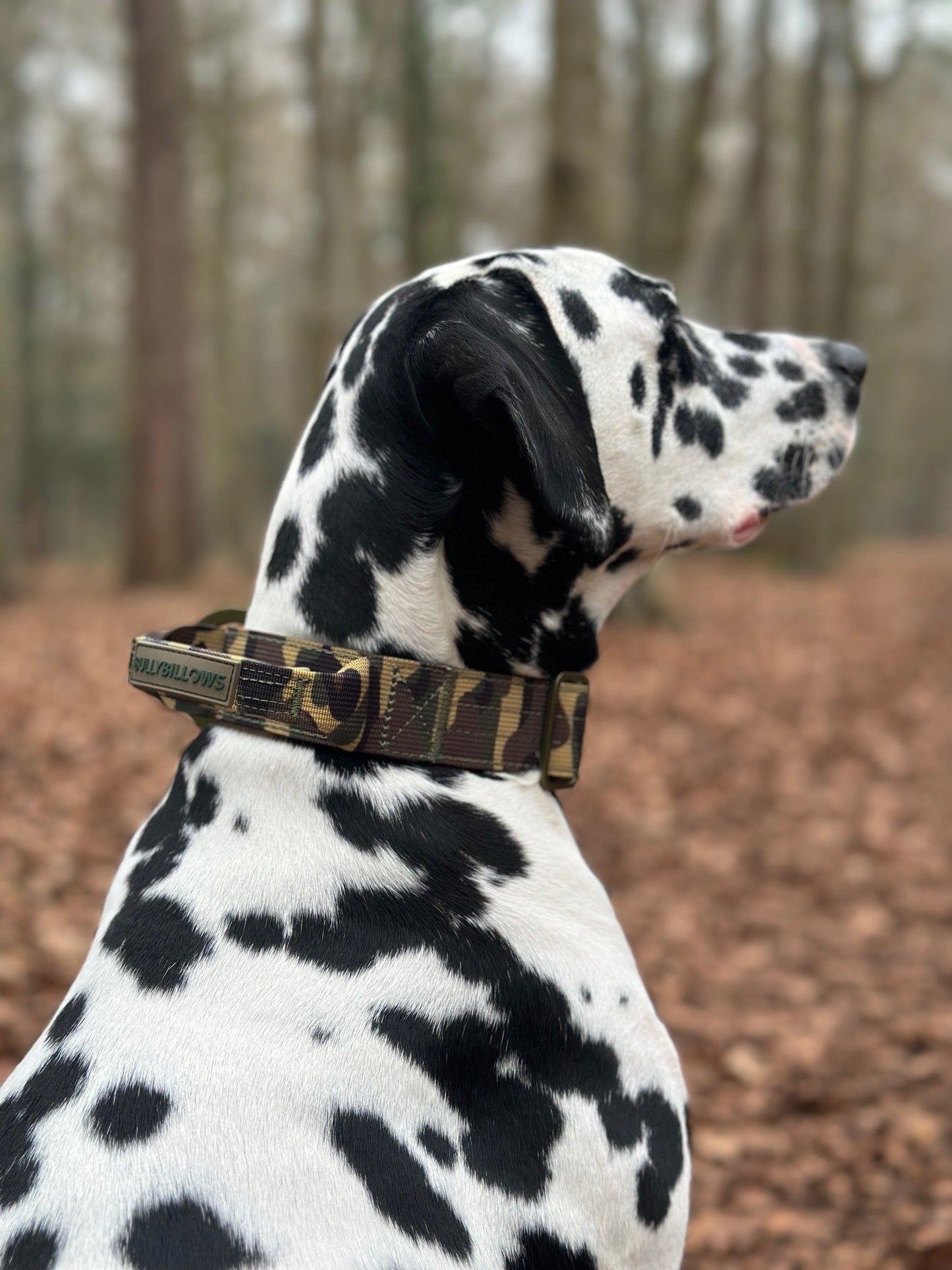 4cm Lighter Combat® Collar | With Handle & Secure Clip - Green Camouflage