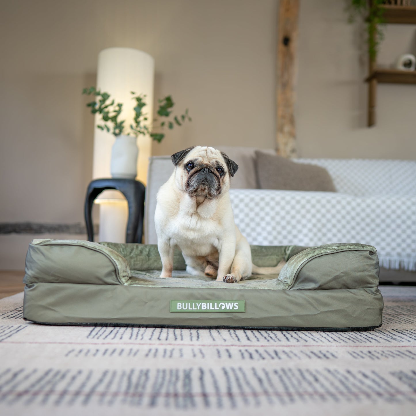 Dog Bed Cover | Sage