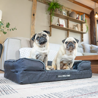 Dog Bed Cover | Black